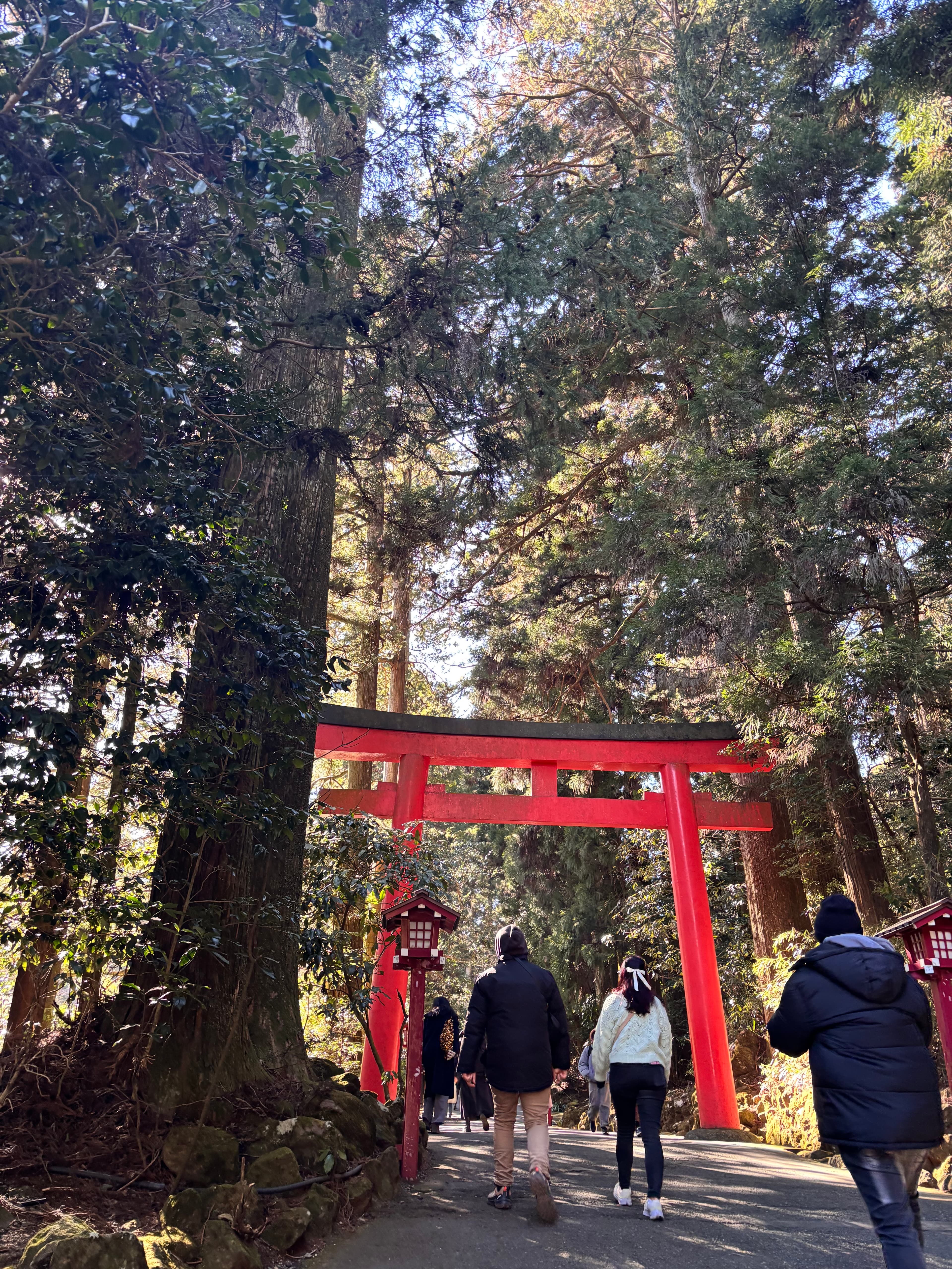 箱根一日遊推薦｜從東京搭浪漫特快出發🚃