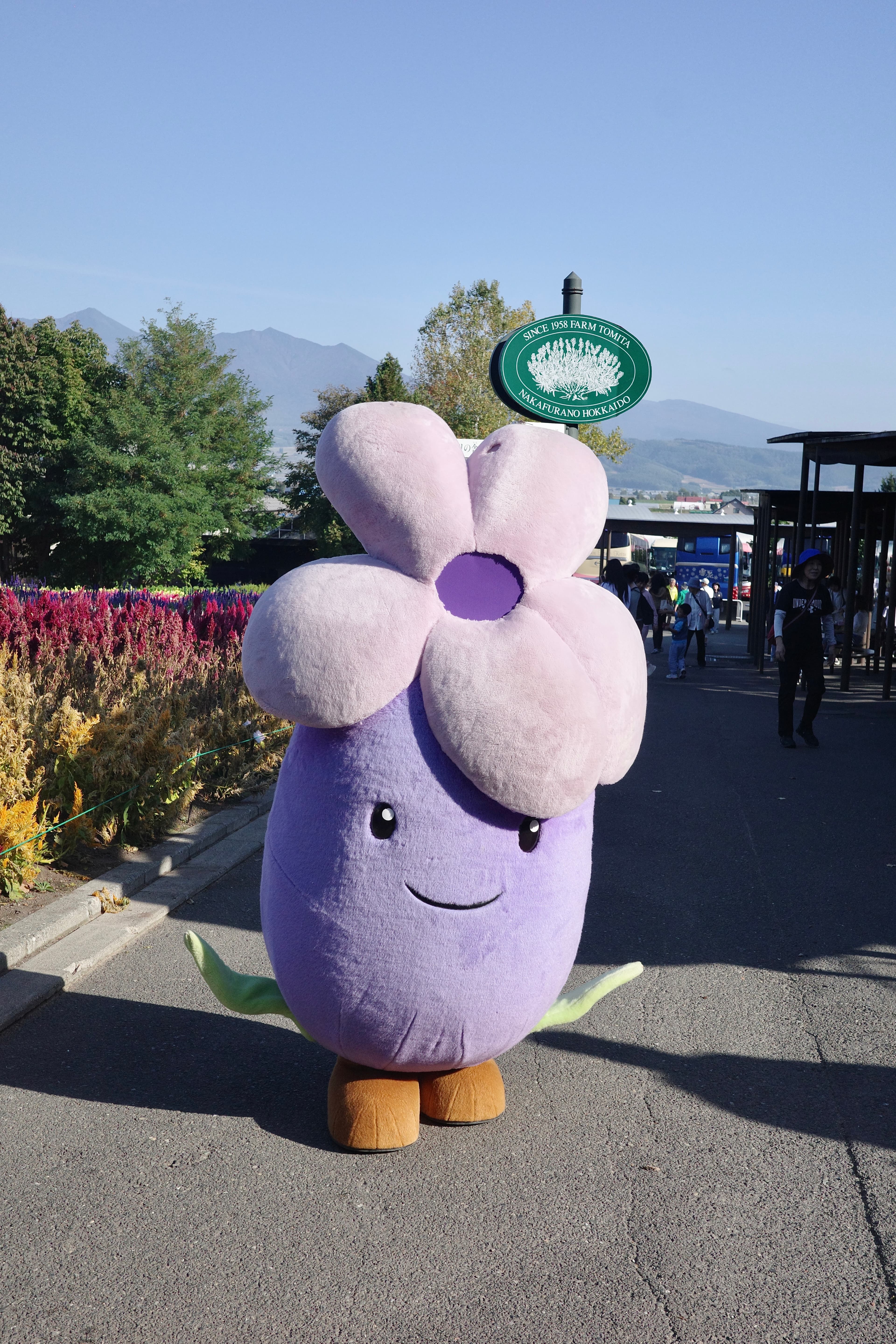 富田農場・薰衣草花田