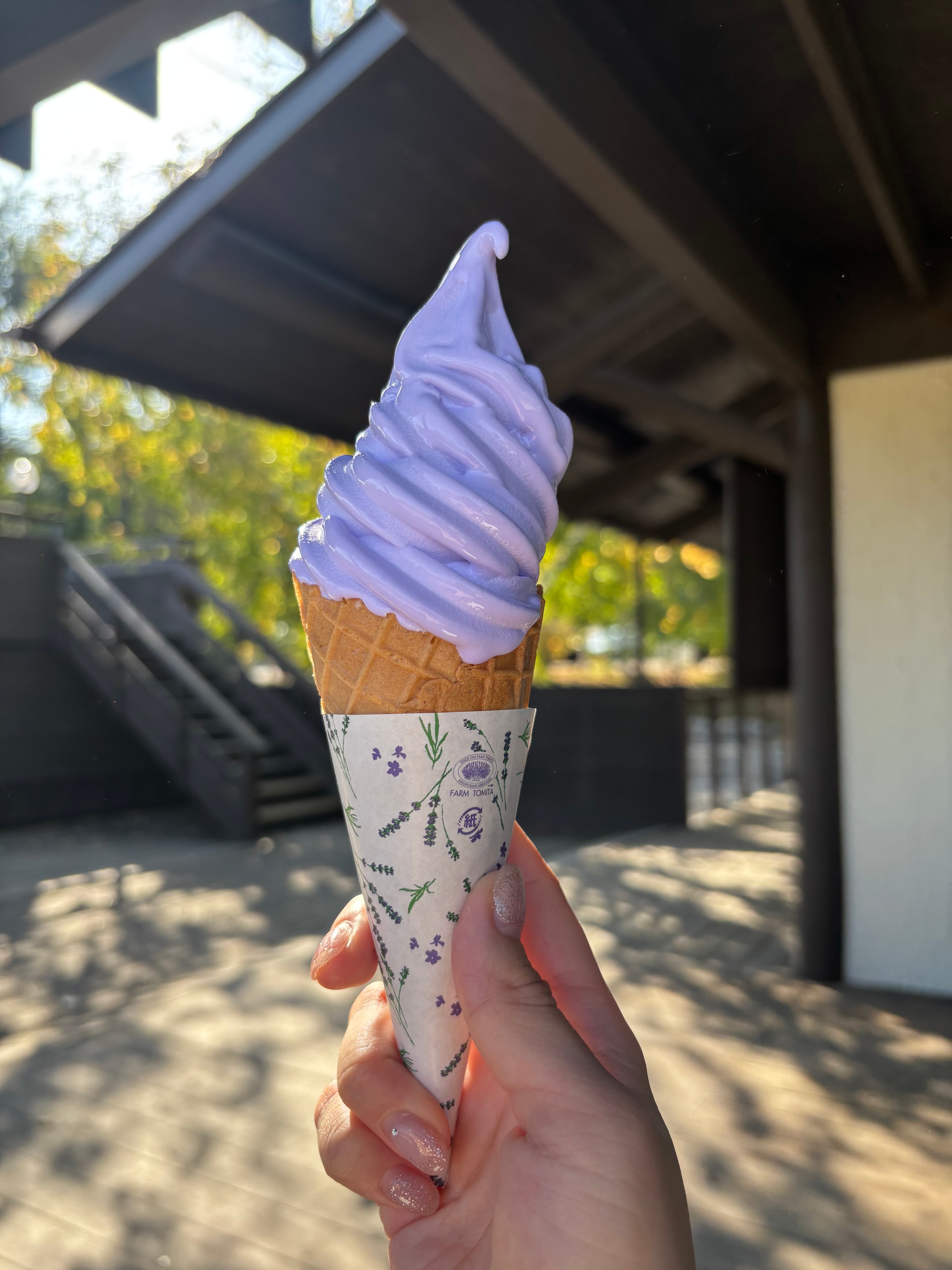 富田農場・薰衣草花田