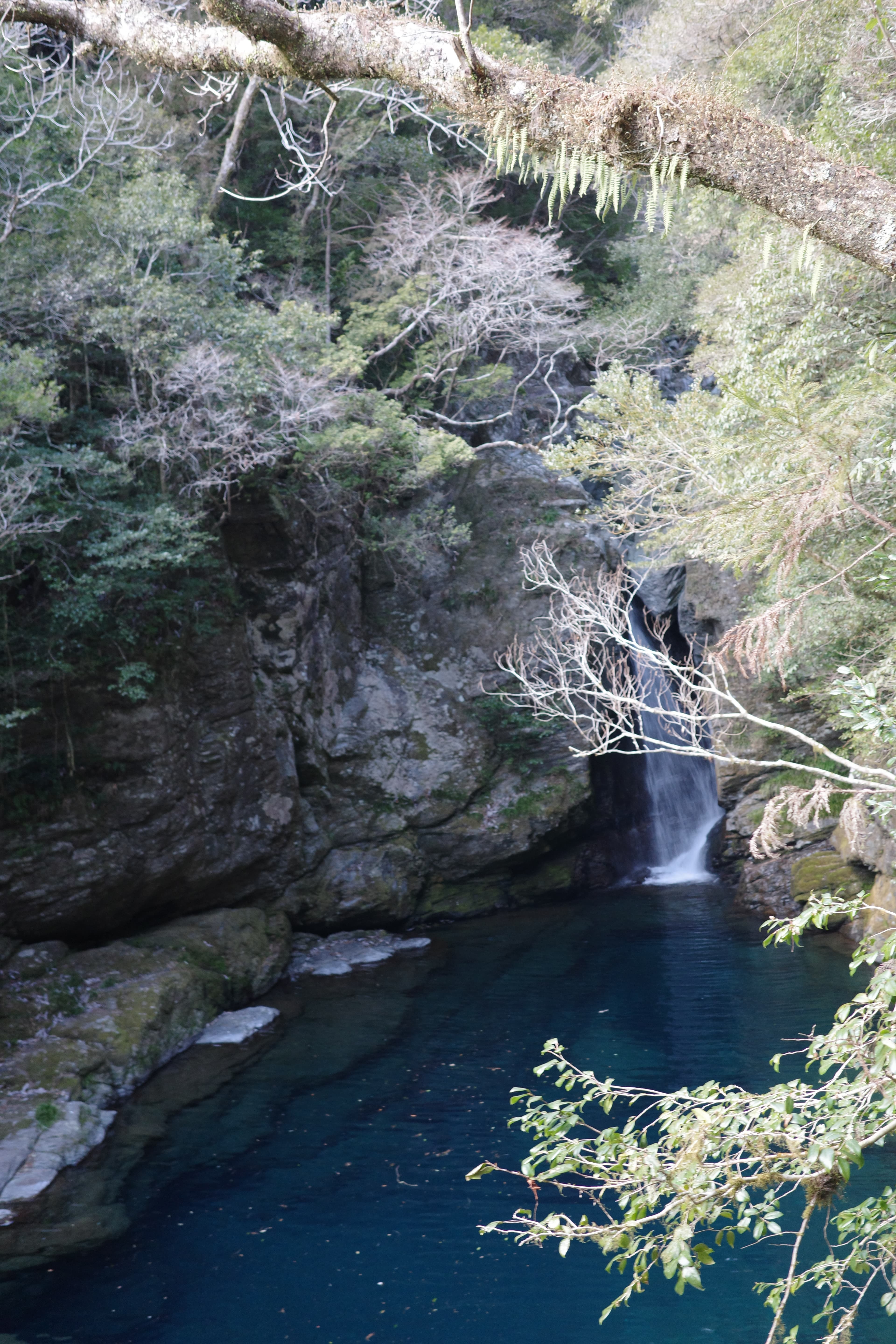 高知觀光推薦3選｜四國必去仁淀藍秘境・鰹魚タタキ・ひろめ市場🌊