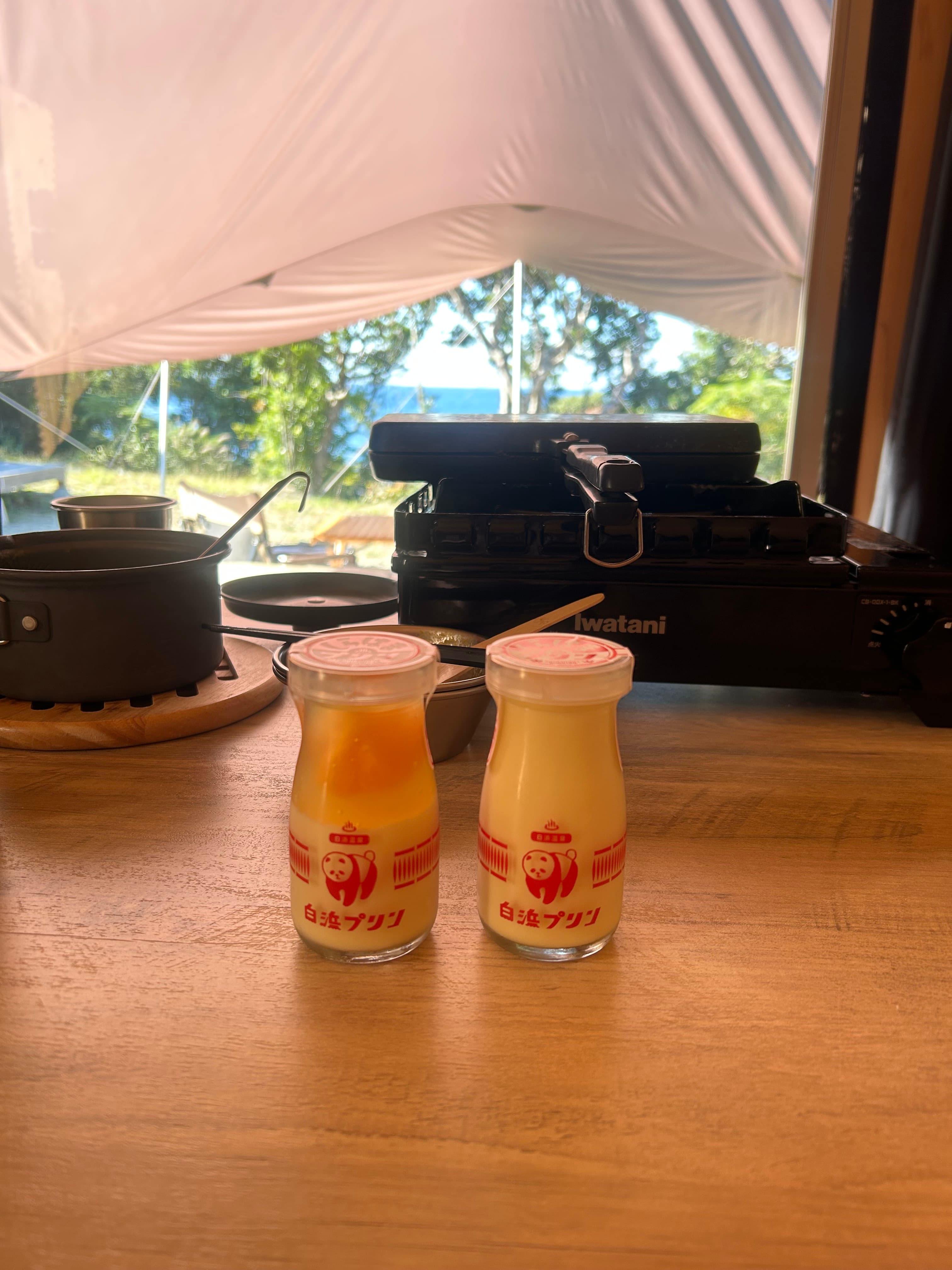 和歌山白浜景點推薦4選｜熊貓・海邊露營・海景咖啡・海鮮BBQ🐼🌊