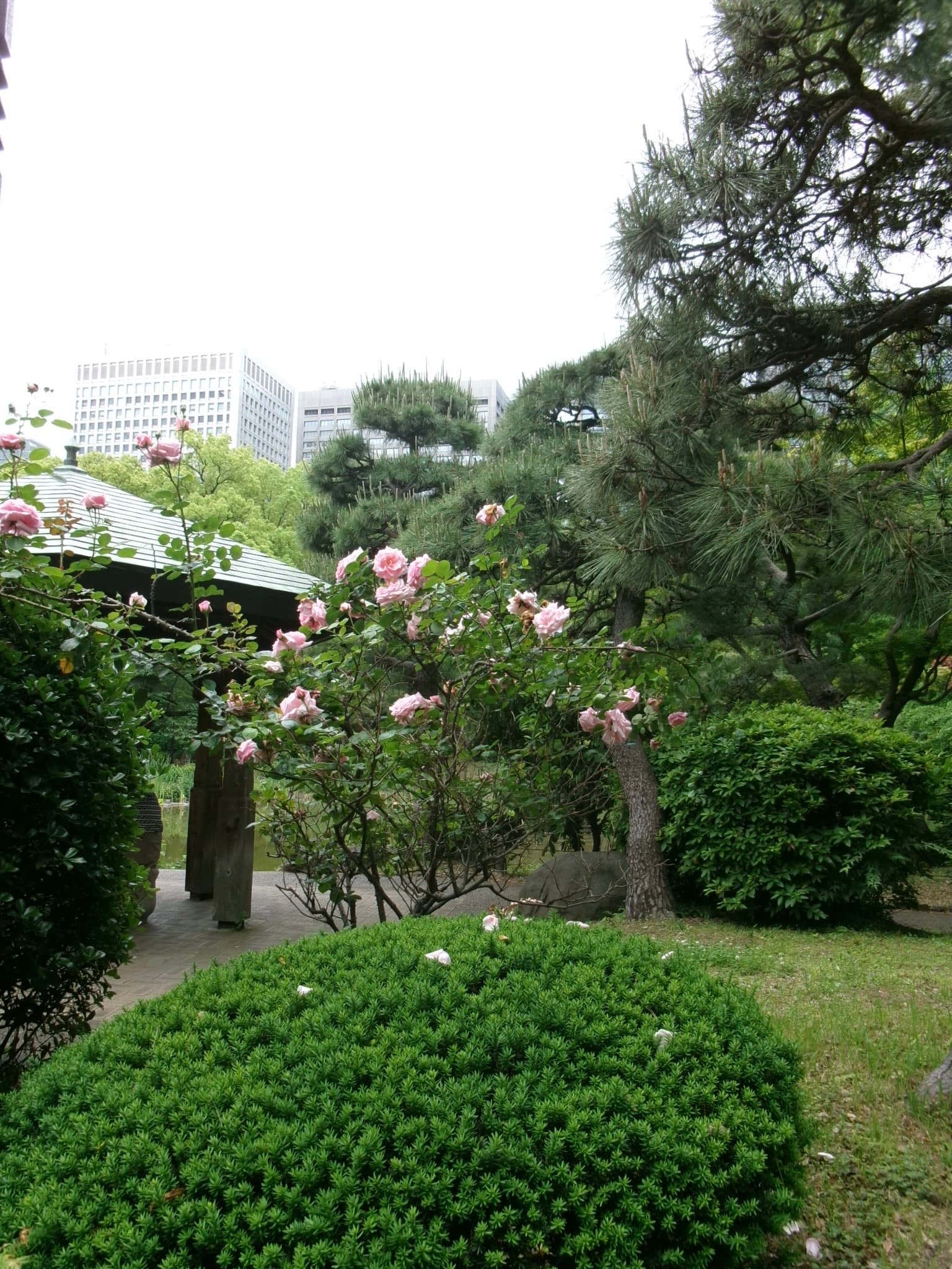 日比谷公園 - 東京野餐推薦