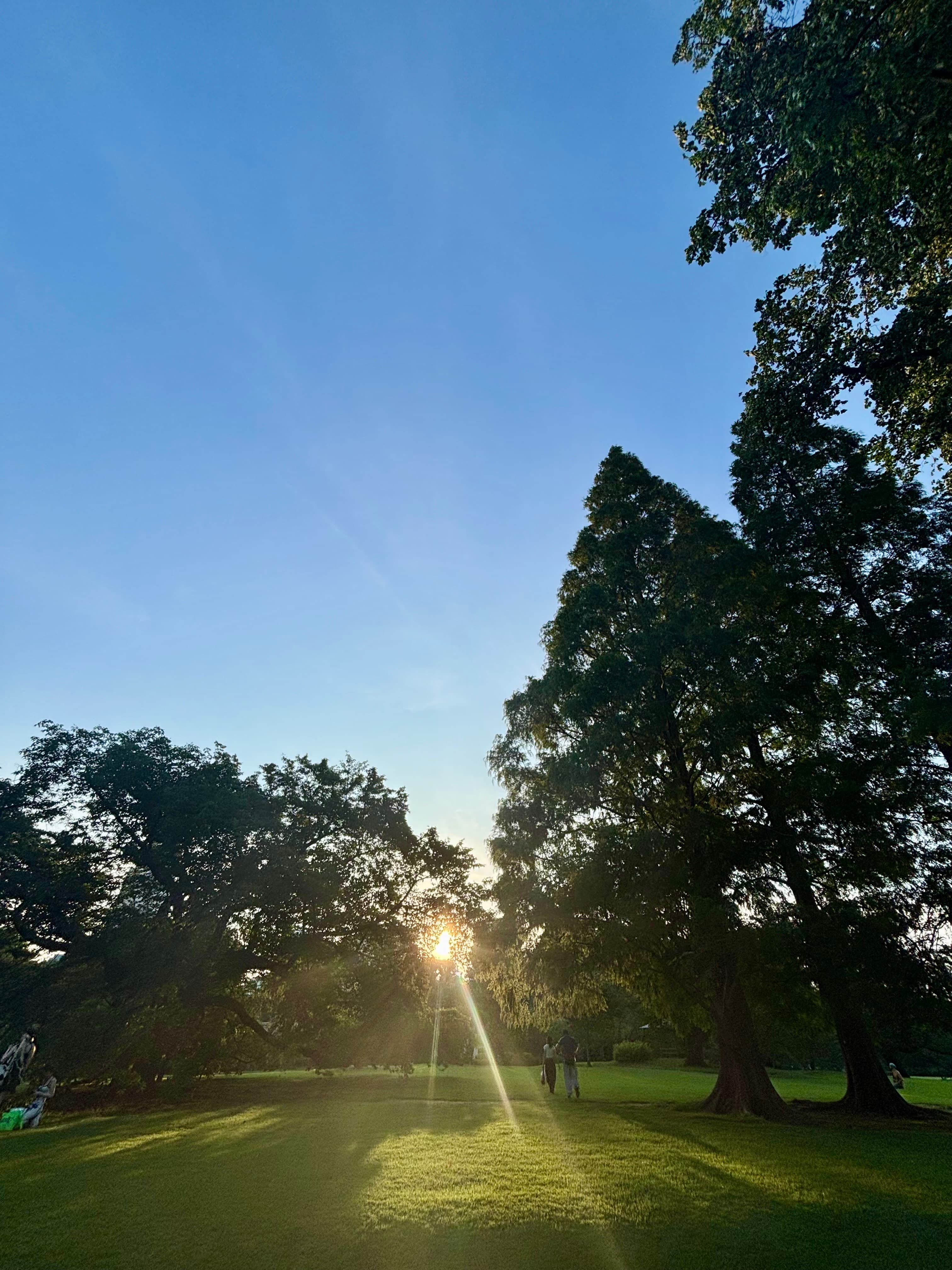 東京野餐推薦｜新宿御苑＆代代木公園悠閒散步🌿
