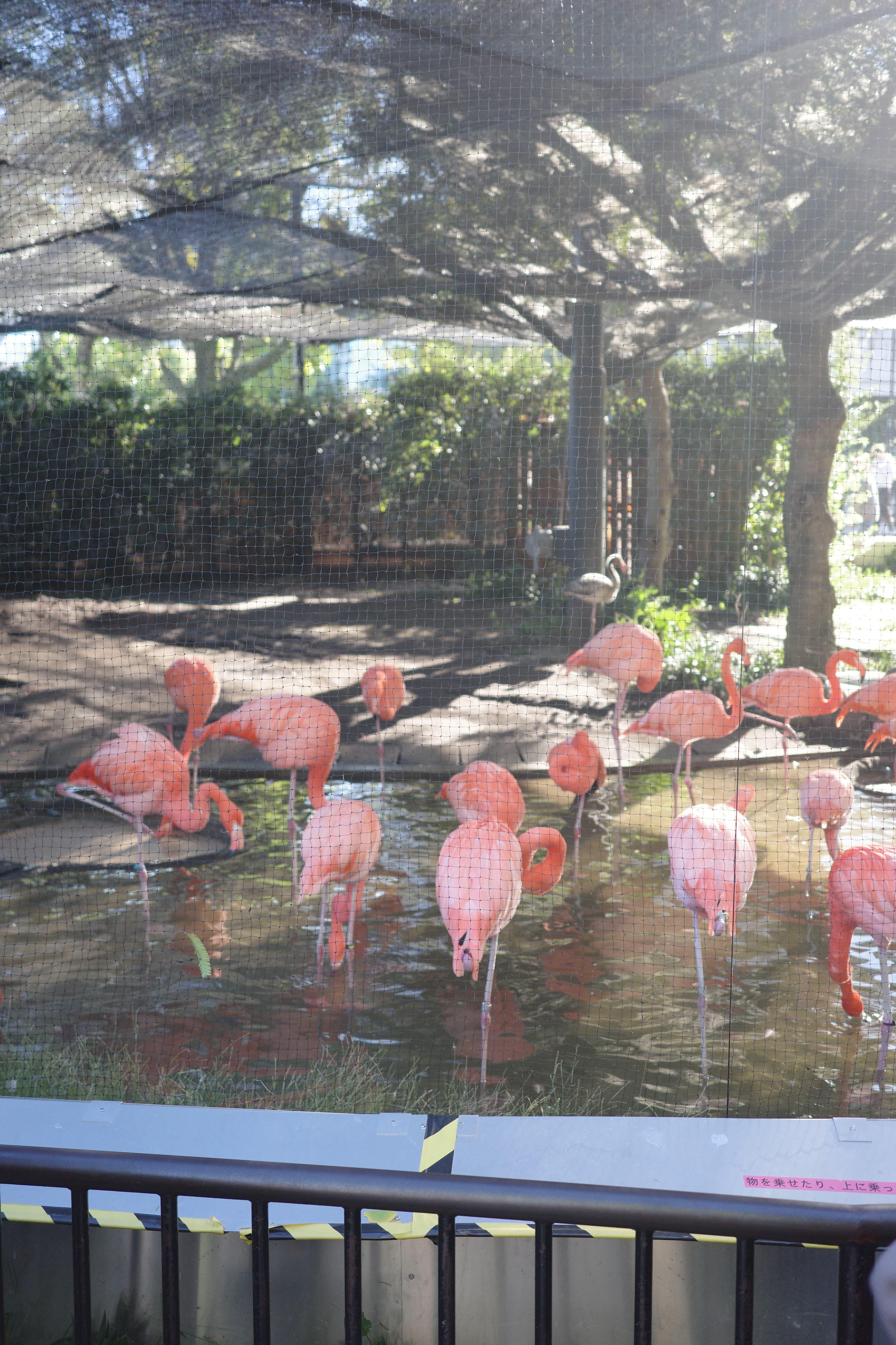 上野動物園 - 東京景點推薦