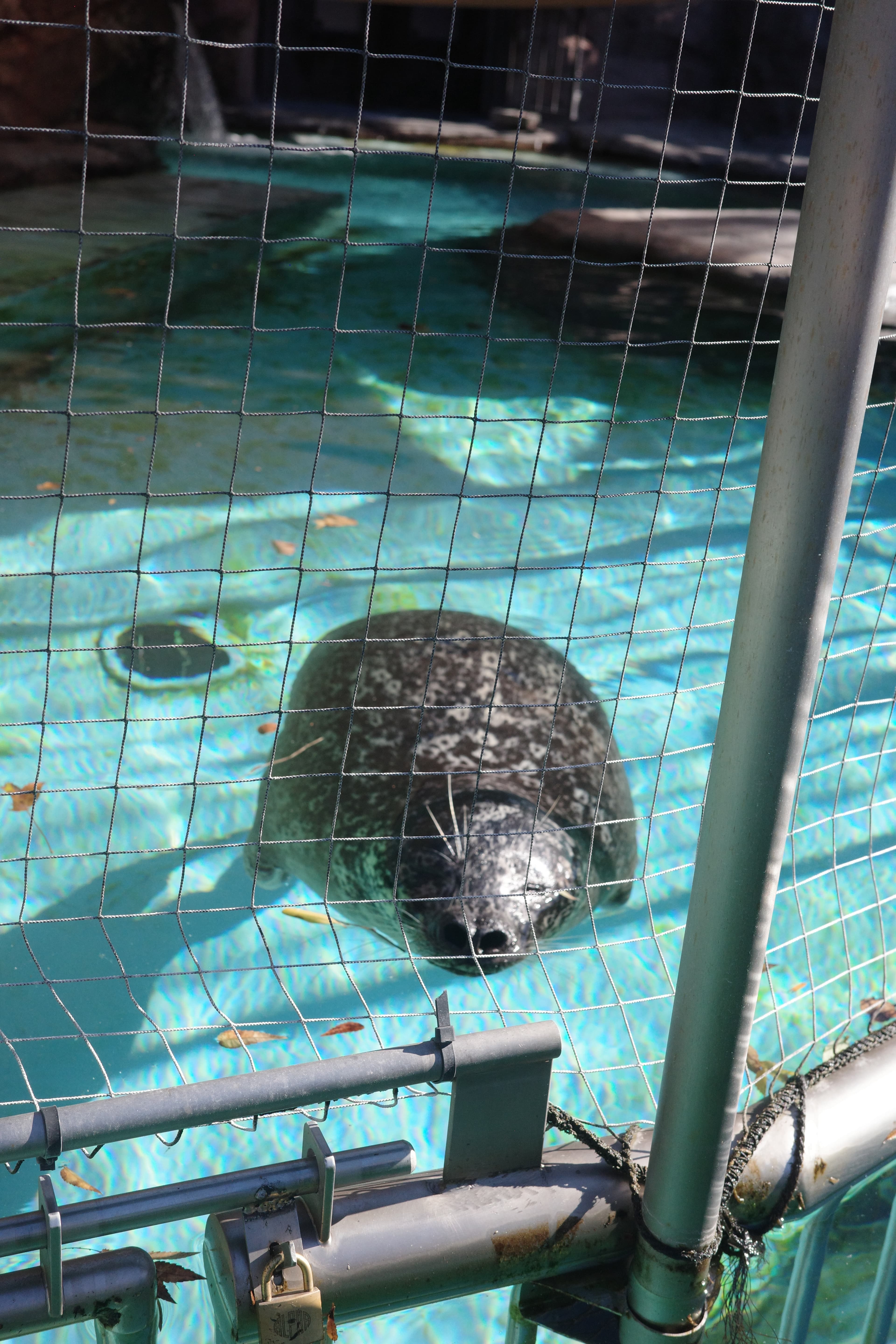 上野動物園 - 東京景點推薦