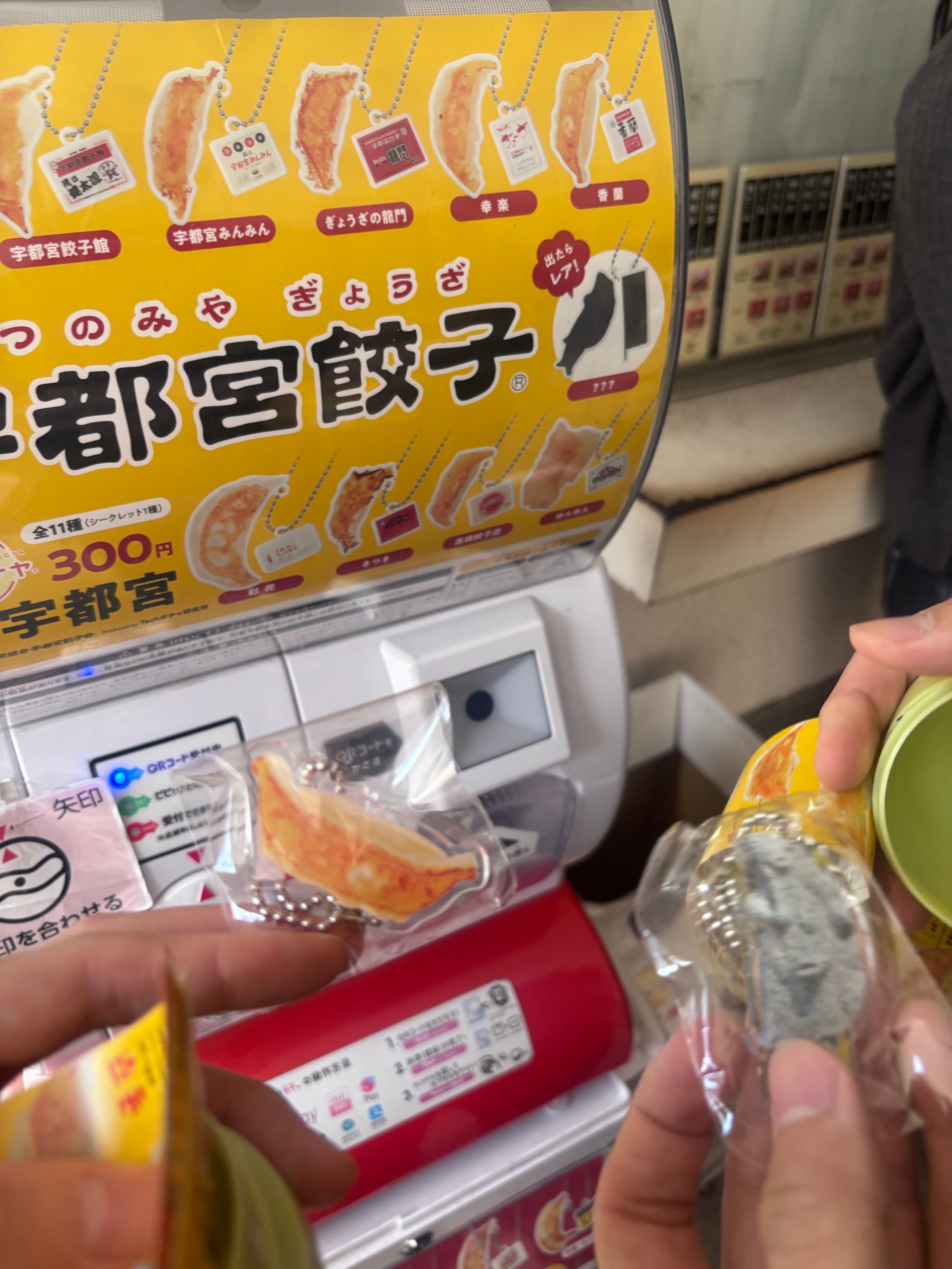 宇都宮餃子通 - 宇都宮觀光推薦