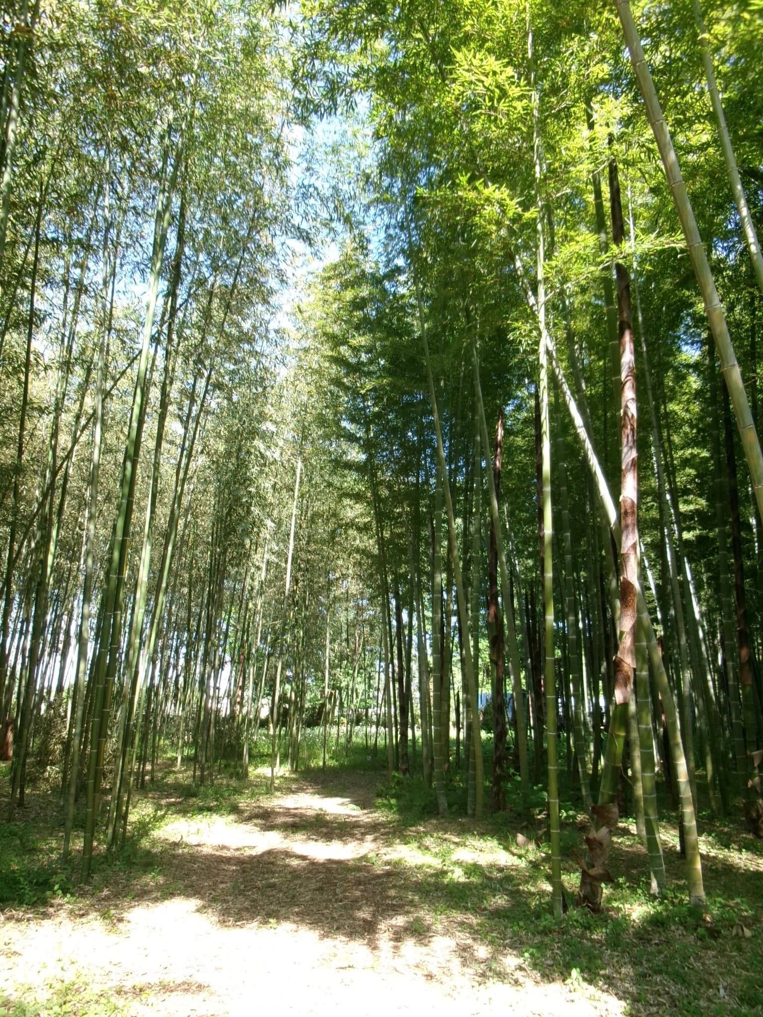 若竹の杜 若山農場 - 宇都宮觀光推薦