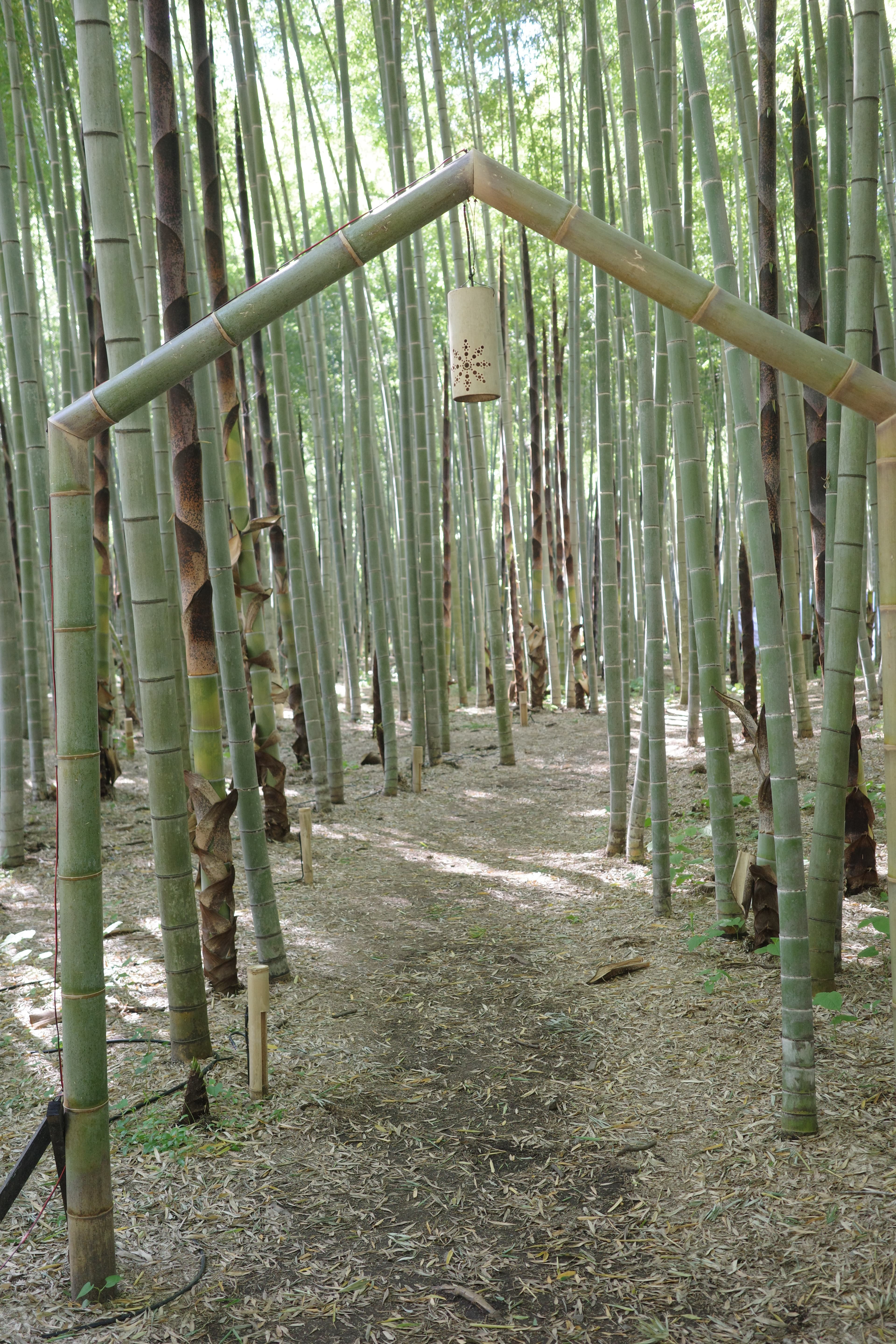若竹の杜 若山農場 - 宇都宮觀光推薦