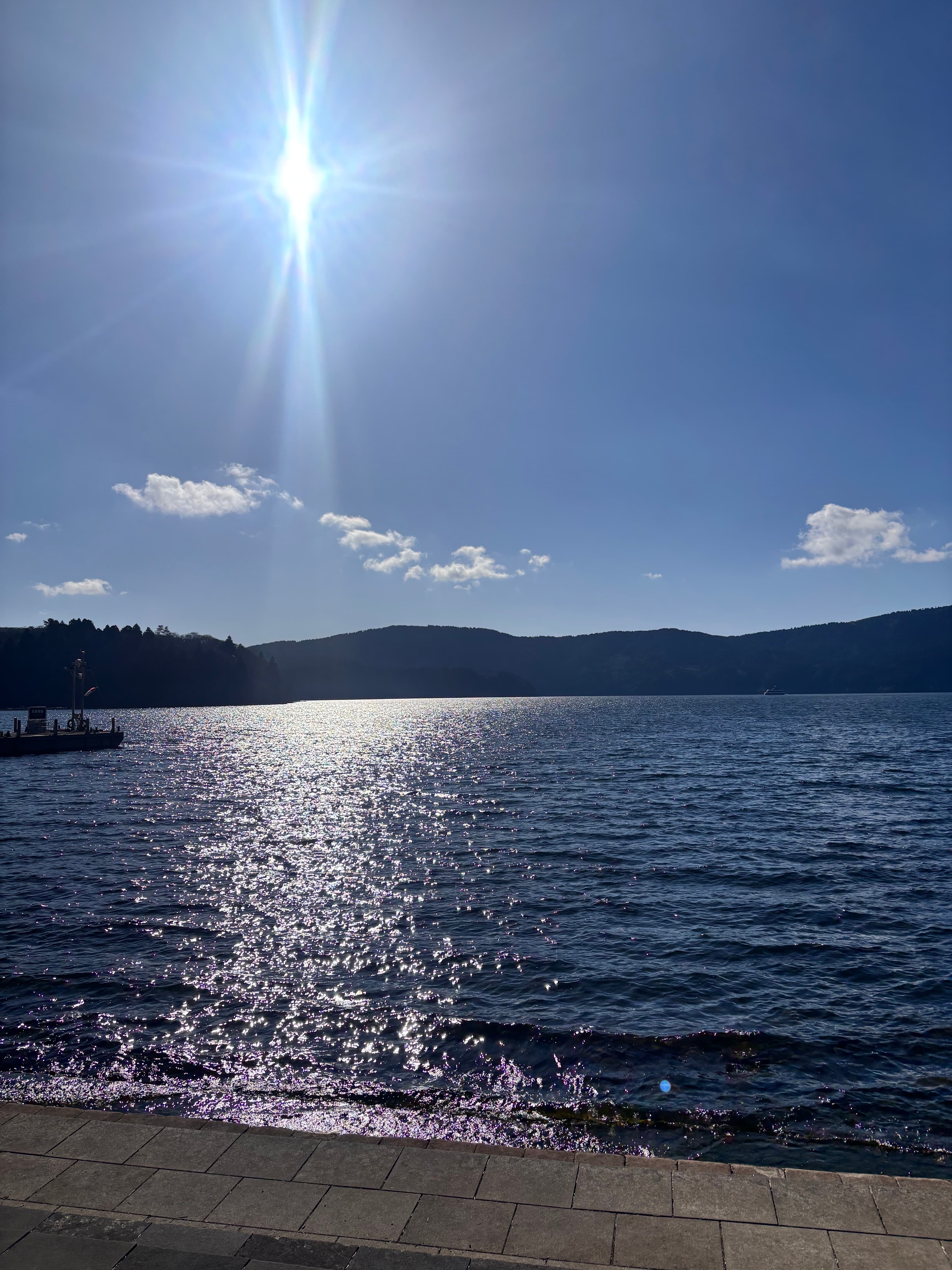 HAL'S BAGEL 自由之丘店