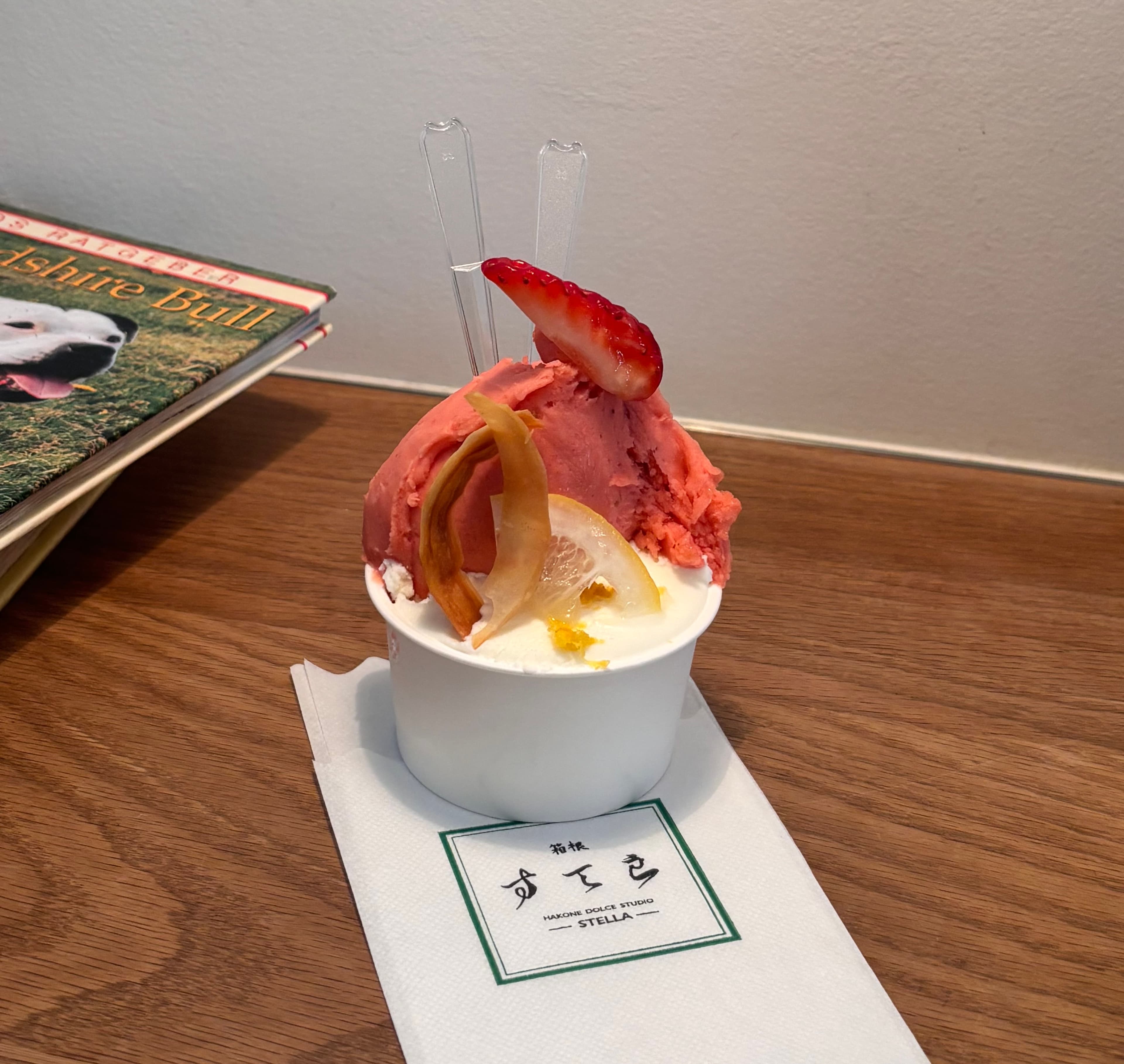 Hakone Dolce studio STELLA