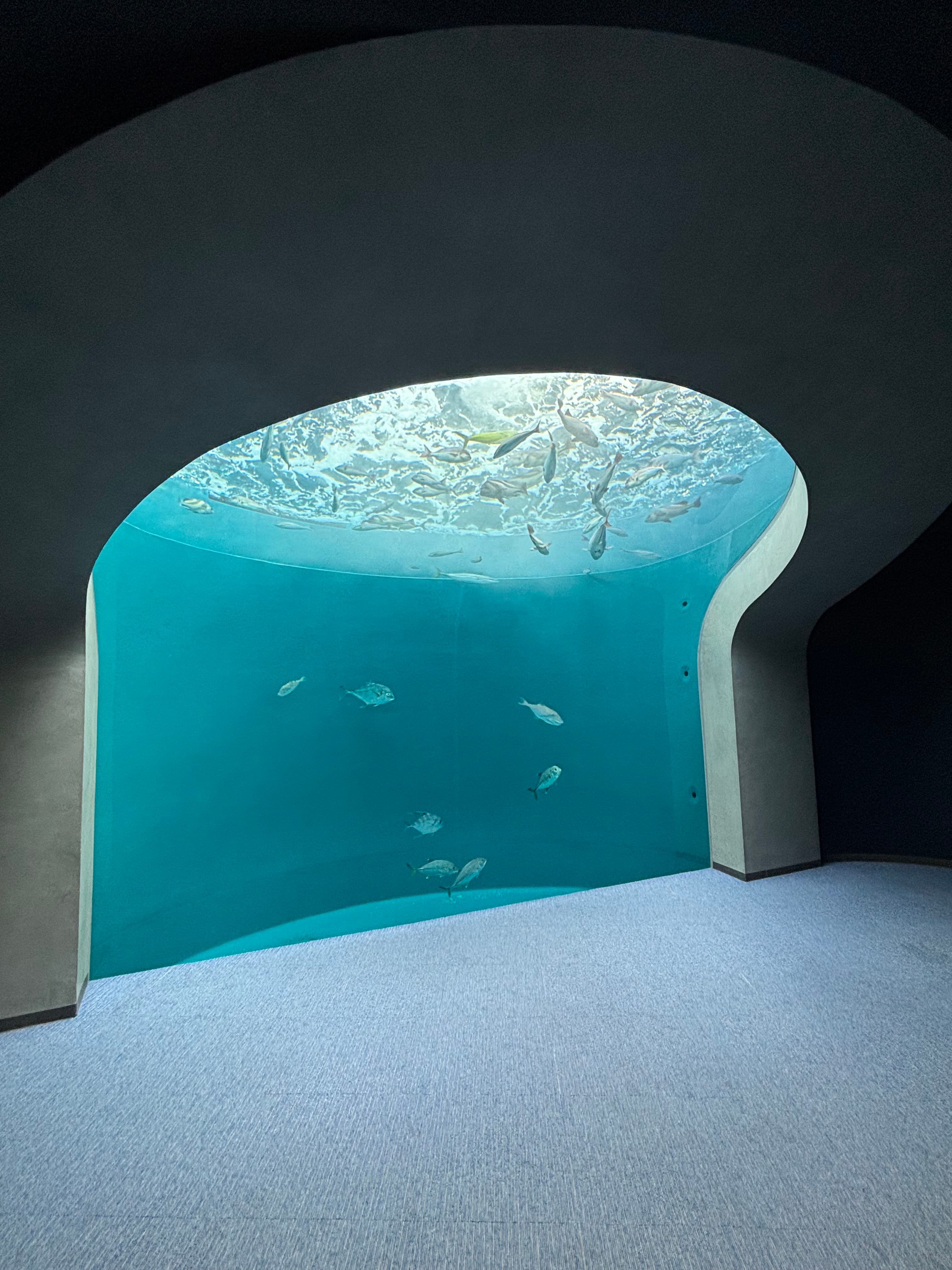 四國水族館 - 香川觀光推薦