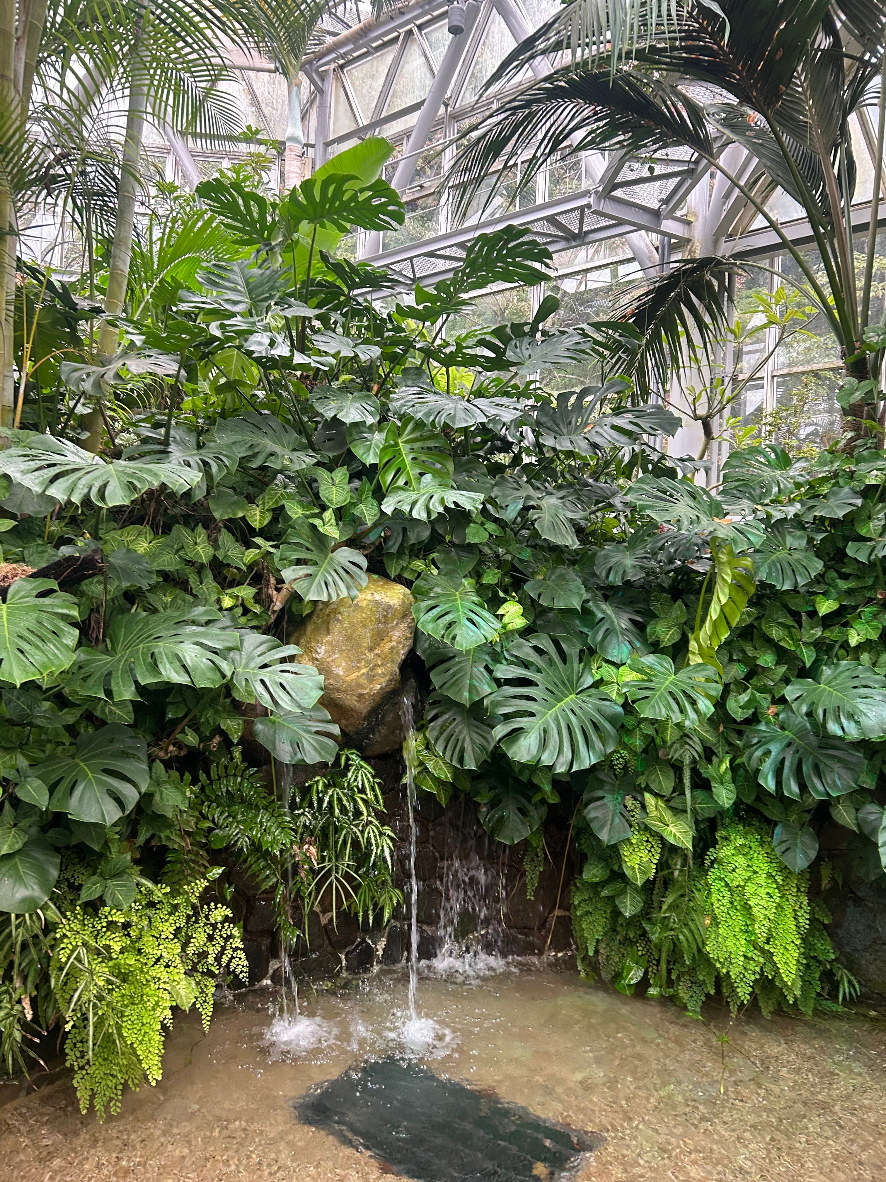 神戶布引香草園 - 神戶景點推薦