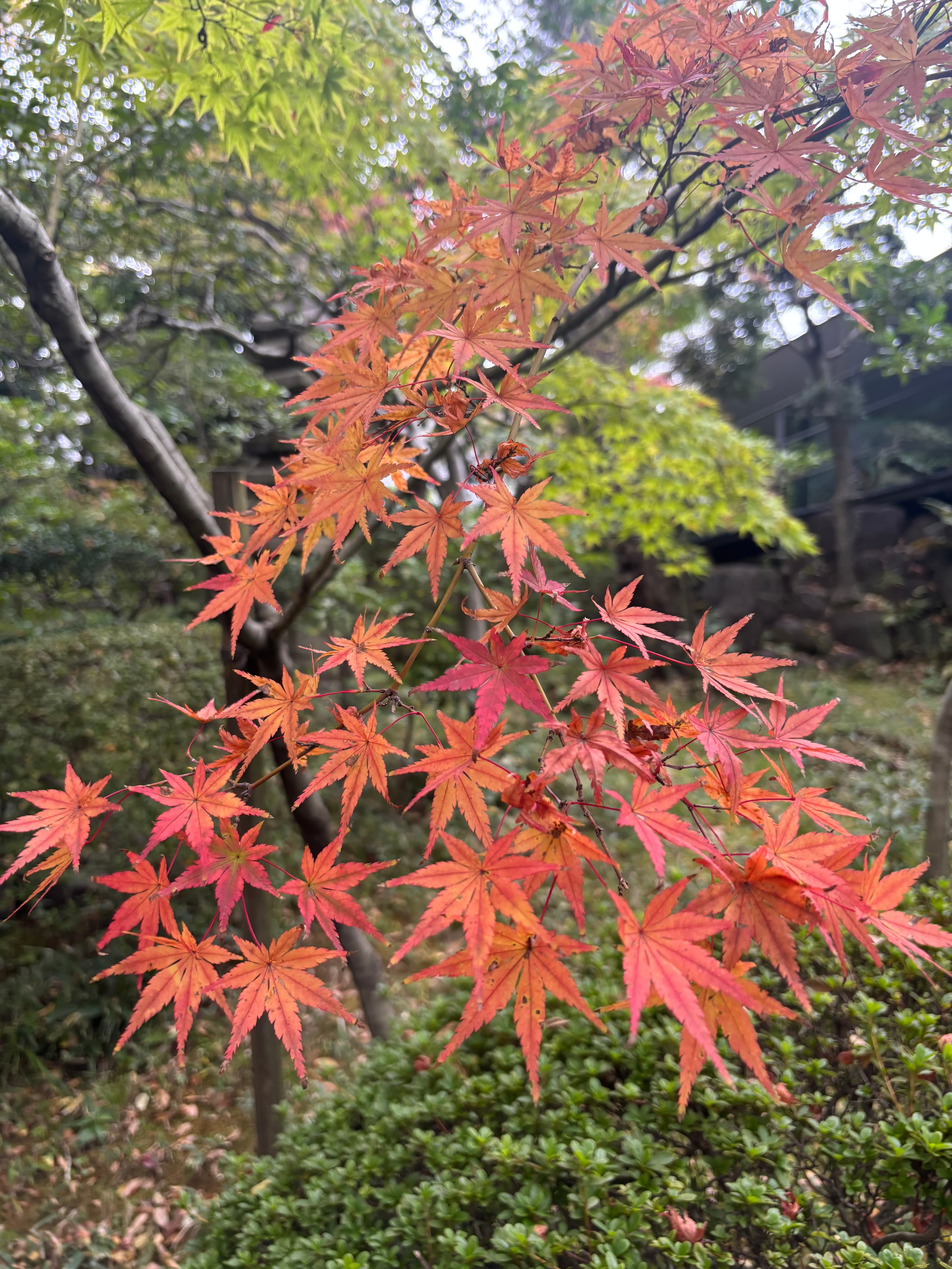根津美術館 - 東京美術館推薦